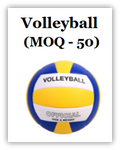 Customized Volleyball